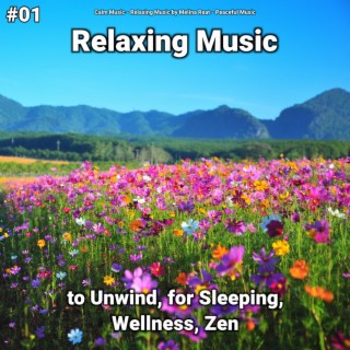 #01 Relaxing Music to Unwind, for Sleeping, Wellness, Zen