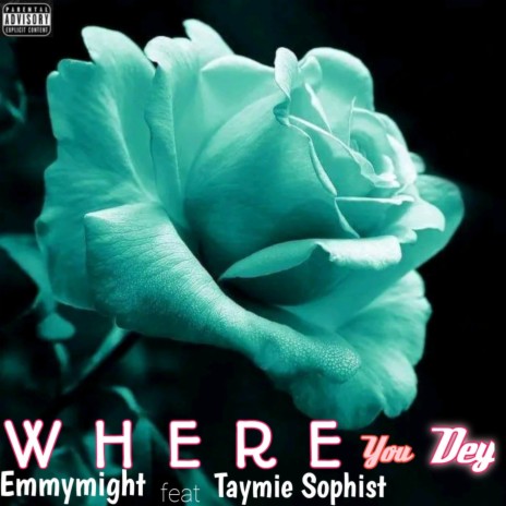 Where you dey ft. Taymie Sophist | Boomplay Music