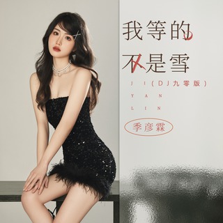 我等的不是雪 (DJ九零版伴奏) lyrics | Boomplay Music