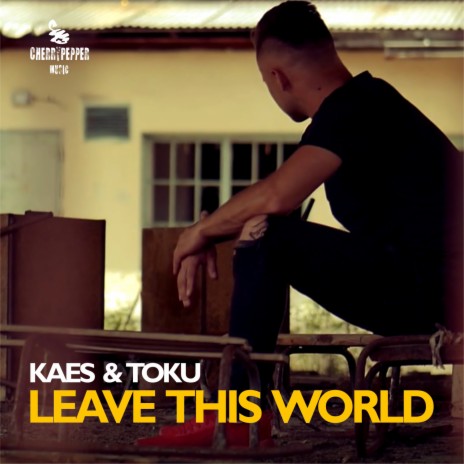 Leave This World (Extended Mix) ft. Toku | Boomplay Music