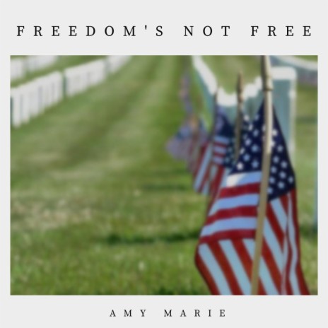 Freedom's Not Free | Boomplay Music