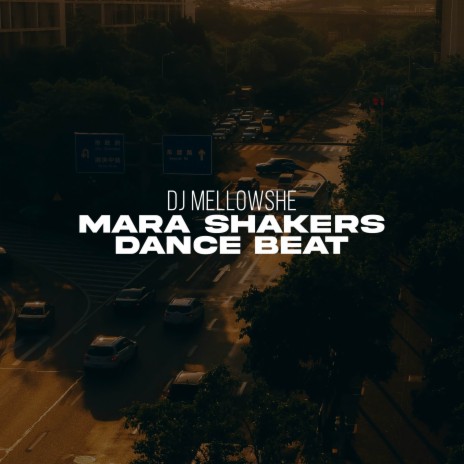 Mara Shakers Dance Beat | Boomplay Music