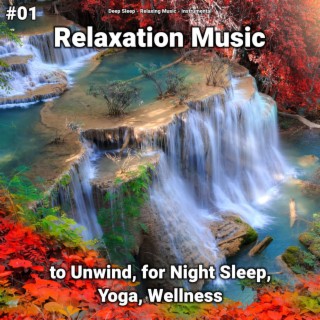 #01 Relaxation Music to Unwind, for Night Sleep, Yoga, Wellness