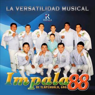 La Versatilidad Musical