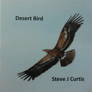 Desert Bird