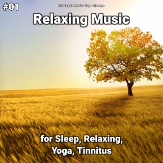 #01 Relaxing Music for Sleep, Relaxing, Yoga, Tinnitus