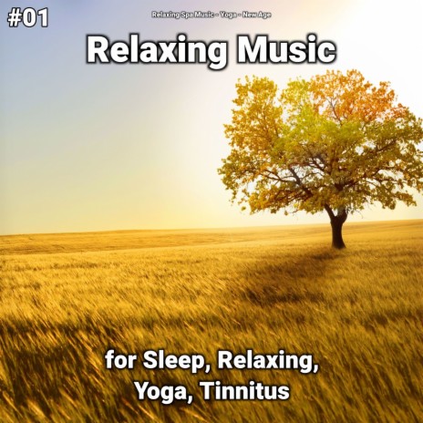 Spiritual Awakening ft. Relaxing Spa Music & Yoga | Boomplay Music