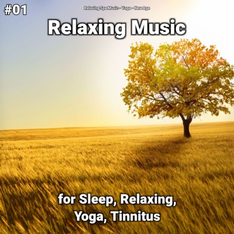 Meditation Music ft. New Age & Yoga | Boomplay Music