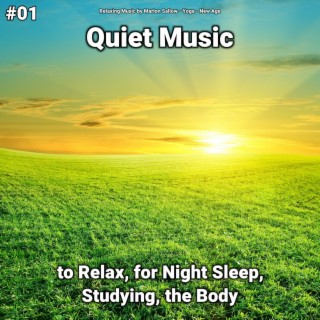 #01 Quiet Music to Relax, for Night Sleep, Studying, the Body