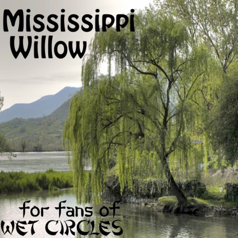 Mississippi Willow | Boomplay Music