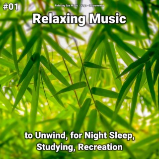 #01 Relaxing Music to Unwind, for Night Sleep, Studying, Recreation