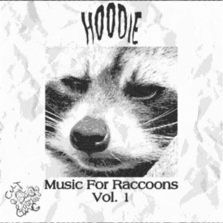 Junk: Music for Raccoons, Vol. 1