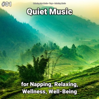 #01 Quiet Music for Napping, Relaxing, Wellness, Well-Being
