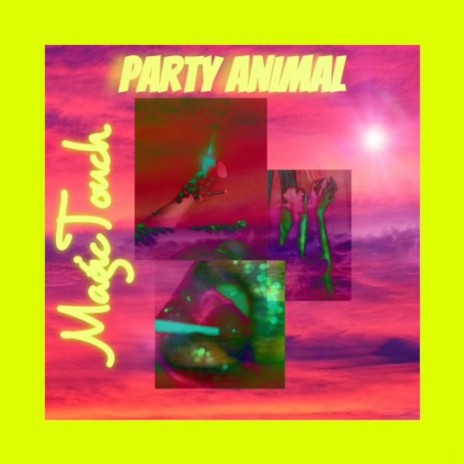 Party Animal | Boomplay Music