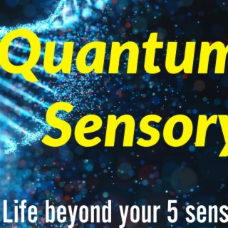 Quantum Sensory - Breaking the bonds of your personality