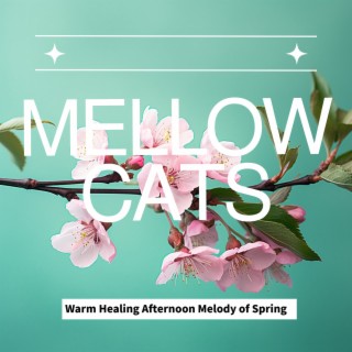 Warm Healing Afternoon Melody of Spring