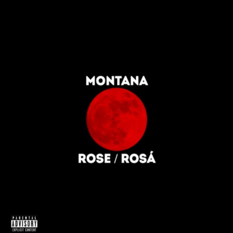 ROSE / ROSÁ | Boomplay Music