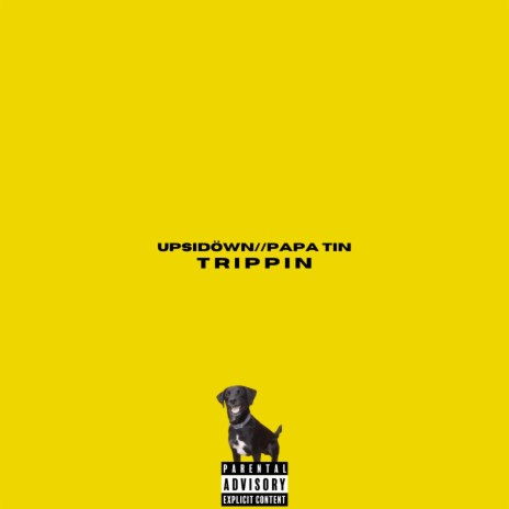 Trippin' (feat. Papa Tin) | Boomplay Music
