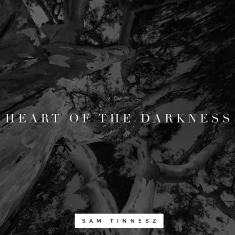 Heart of the Darkness | Boomplay Music