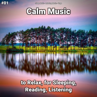 #01 Calm Music to Relax, for Sleeping, Reading, Listening