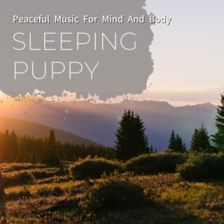 Peaceful Music For Mind And Body