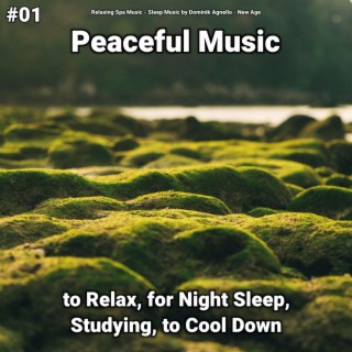 #01 Peaceful Music to Relax, for Night Sleep, Studying, to Cool Down