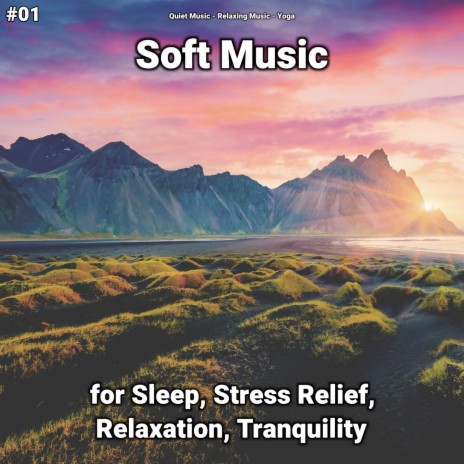 Terrific New Age Music ft. Quiet Music & Yoga