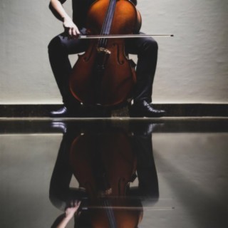 Cello Duel in the Night