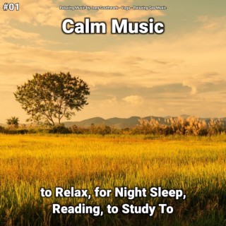 #01 Calm Music to Relax, for Night Sleep, Reading, to Study To
