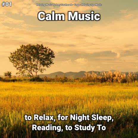 Mindfulness Sleep ft. Relaxing Spa Music & Relaxing Music by Joey Southwark | Boomplay Music