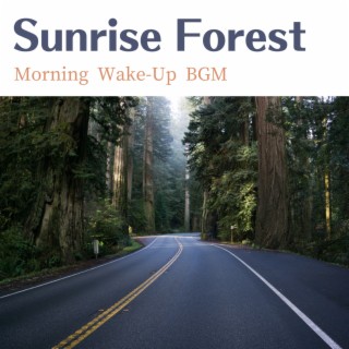 Morning Wake-Up BGM