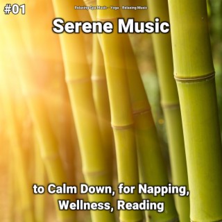#01 Serene Music to Calm Down, for Napping, Wellness, Reading