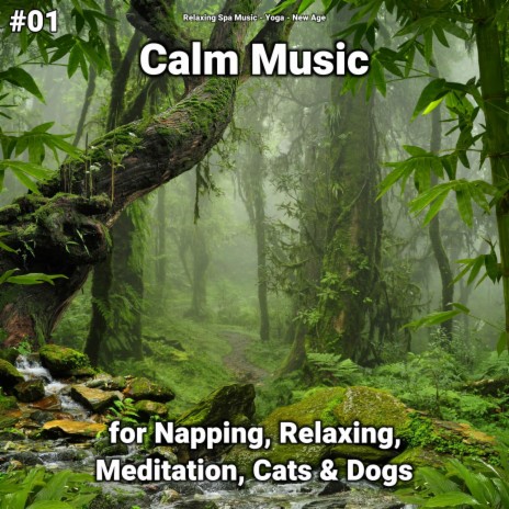 Meditation ft. Relaxing Spa Music & New Age | Boomplay Music