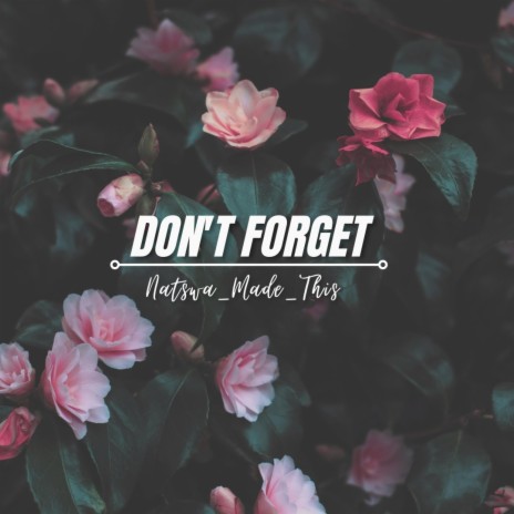 Don't Forget | Boomplay Music