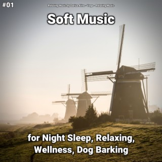 #01 Soft Music for Night Sleep, Relaxing, Wellness, Dog Barking