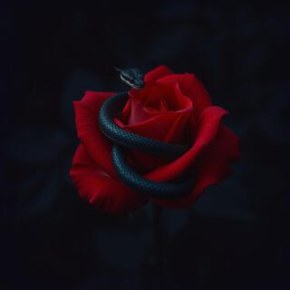 Snake in a rose