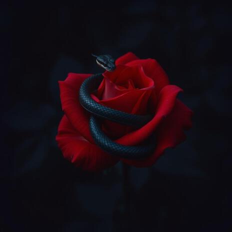 Snake in a rose | Boomplay Music