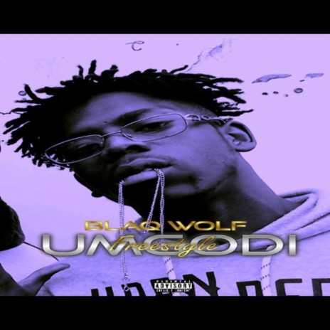 Umgodi freestyle | Boomplay Music