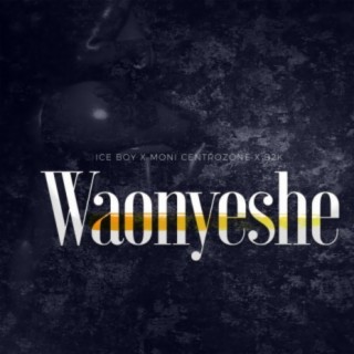 Waonyeshe