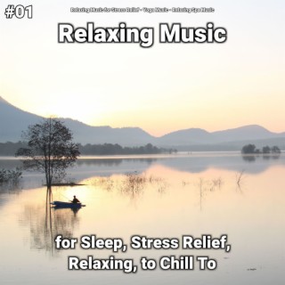 #01 Relaxing Music for Sleep, Stress Relief, Relaxing, to Chill To