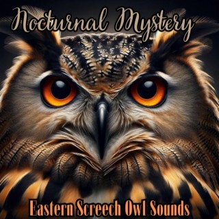 Nocturnal Mystery: Eastern Screech Owl Sounds for Sleep and Rest