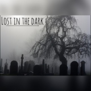 Lost In The Dark (Slowed & Reverb)