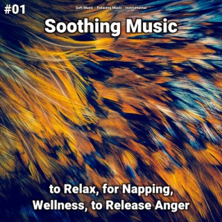 #01 Soothing Music to Relax, for Napping, Wellness, to Release Anger