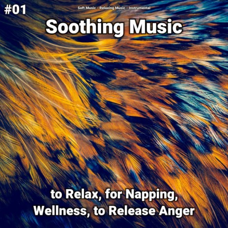 Soothing Music ft. Relaxing Music & Soft Music | Boomplay Music