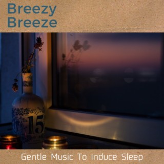 Gentle Music To Induce Sleep