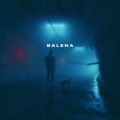 balena | Boomplay Music