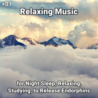 #01 Relaxing Music for Night Sleep, Relaxing, Studying, to Release Endorphins