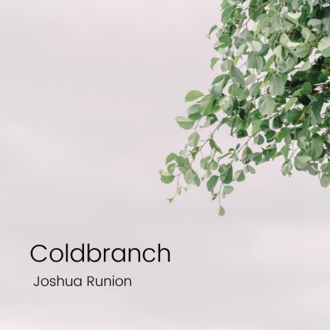 Coldbranch | Boomplay Music