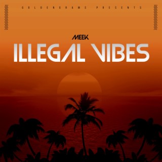 ILLEGAL VIBES