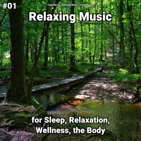 Wonderful Countryside ft. Relaxing Music & Yoga Music | Boomplay Music